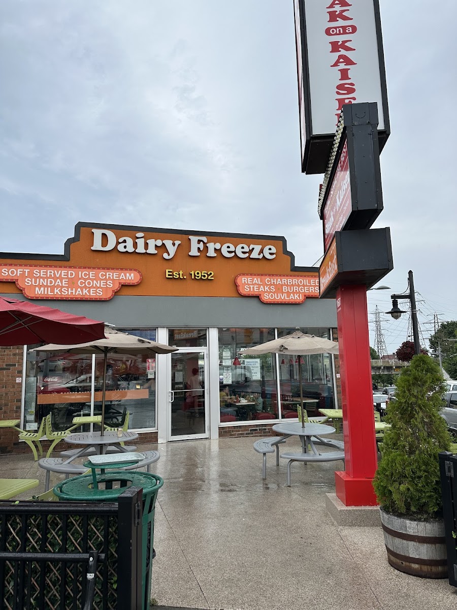 Dairy Freeze